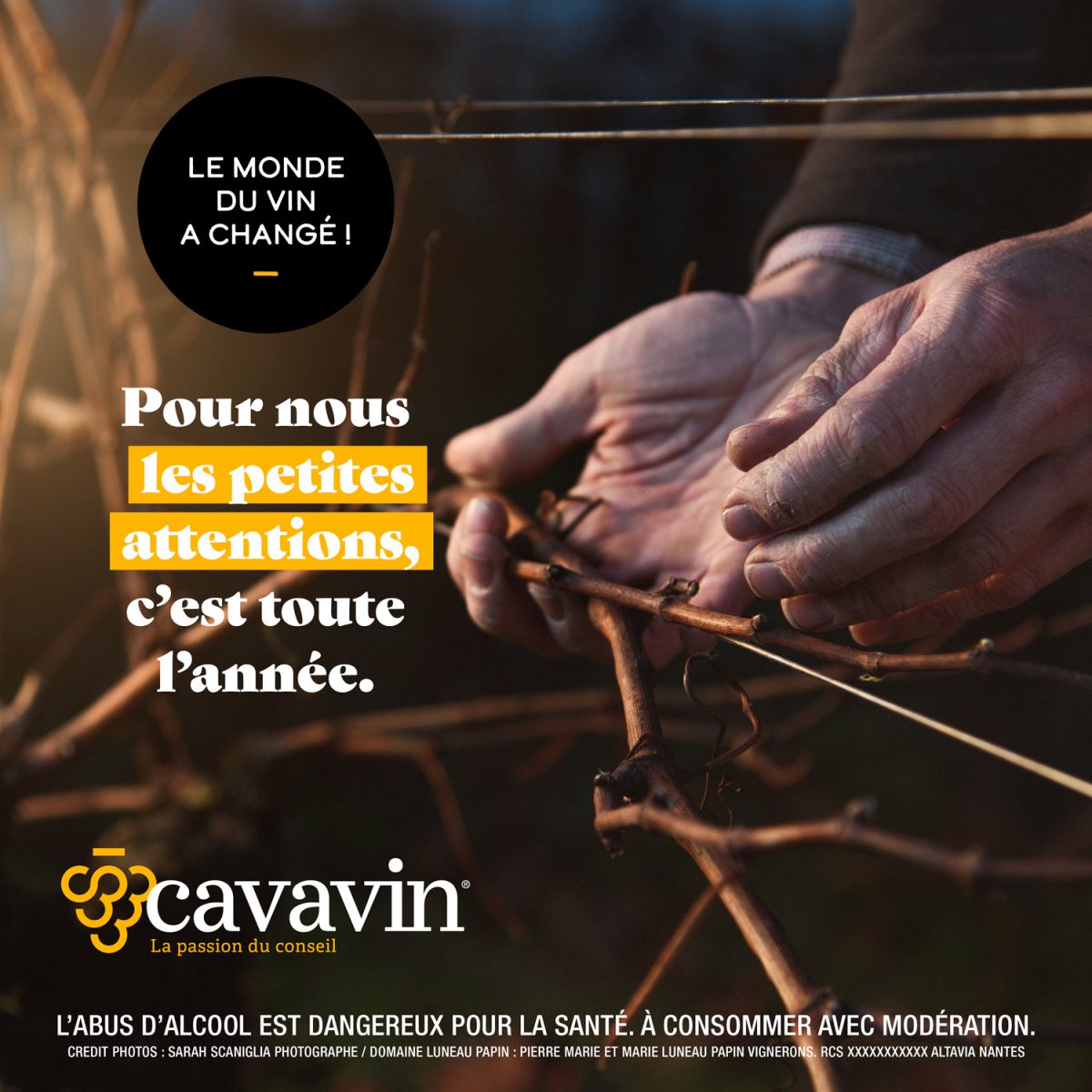 cavavin-sarah-scaniglia-photographe-vin-france-vignes-loire-muscadet